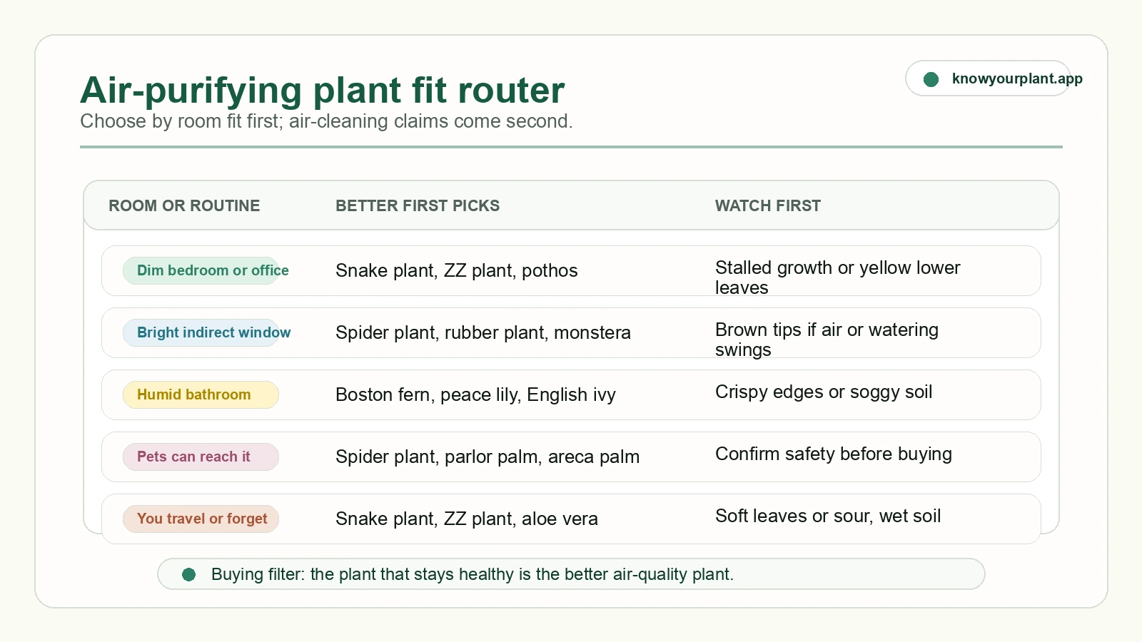 Air-purifying plant fit router matching room and care routine to practical indoor plant picks