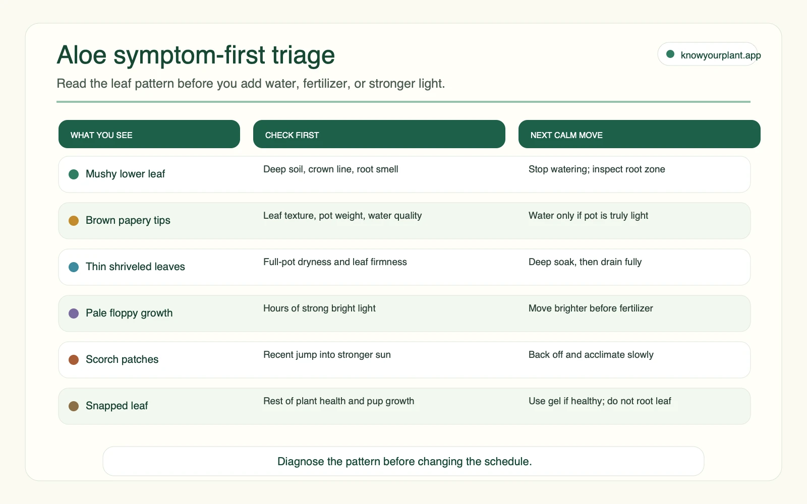 Aloe symptom-first triage Aloe symptom-first triage showing what to check before changing water light or fertilizer