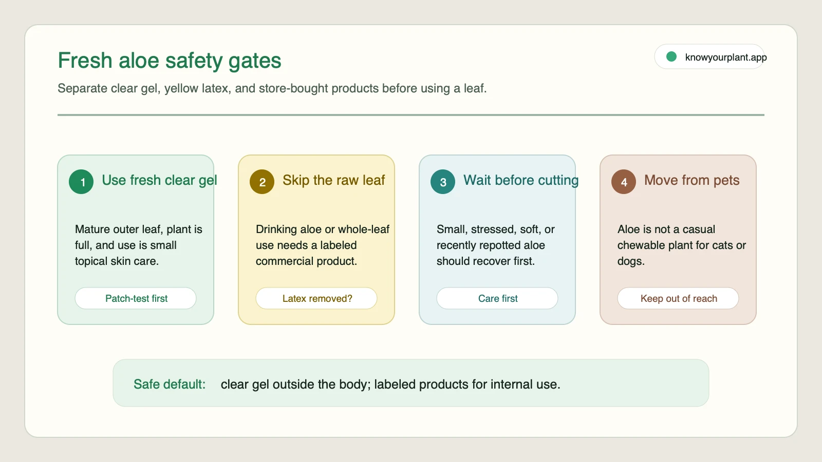 Fresh aloe safety gates Fresh aloe safety gates separating clear gel, raw leaf, stressed plants, and pet access