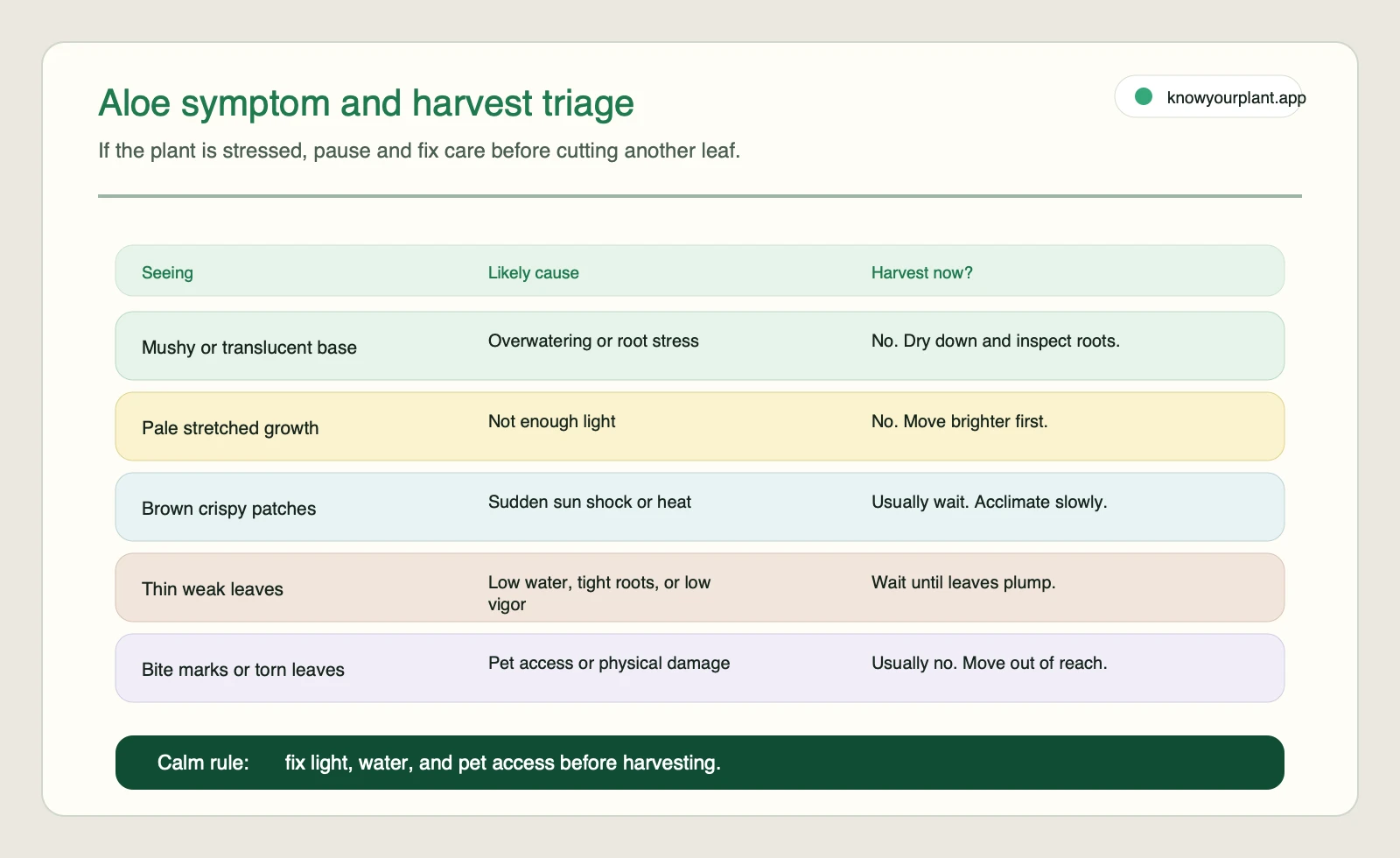 Aloe symptom and harvest triage Aloe symptom and harvest triage matching plant stress signs to whether harvesting should wait