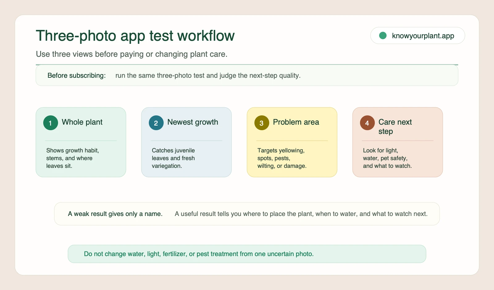 Three-photo plant identifier app test workflow showing whole plant, newest growth, problem area, and care next step checks