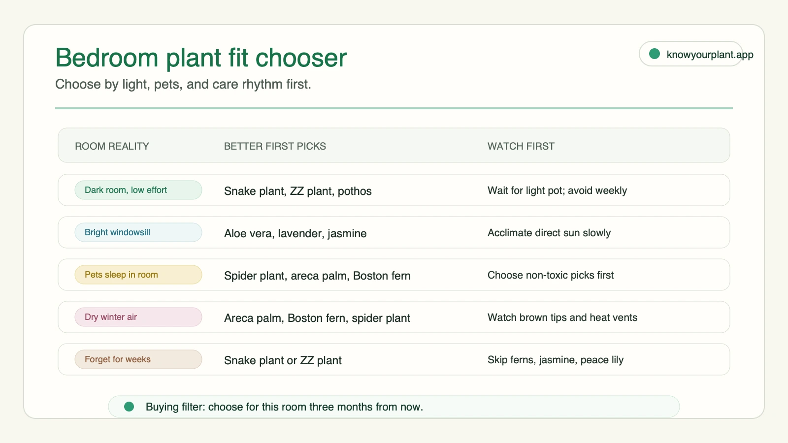 Bedroom plant fit chooser matching room light, pet access, dry air, and care rhythm to practical first-pick plants