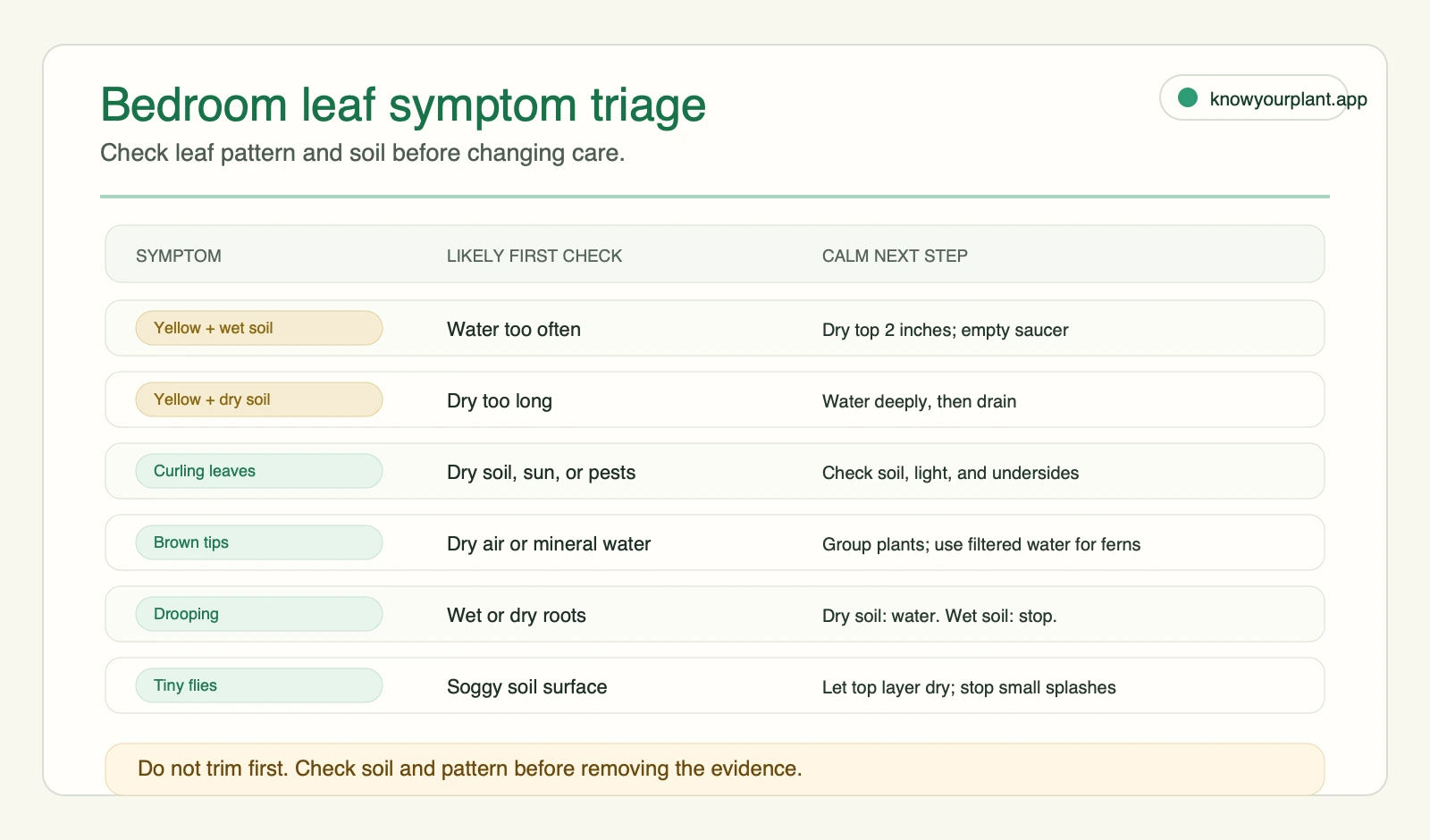 Bedroom leaf symptom triage mapping yellow leaves, curling, brown tips, drooping, and tiny flies to soil checks and next steps