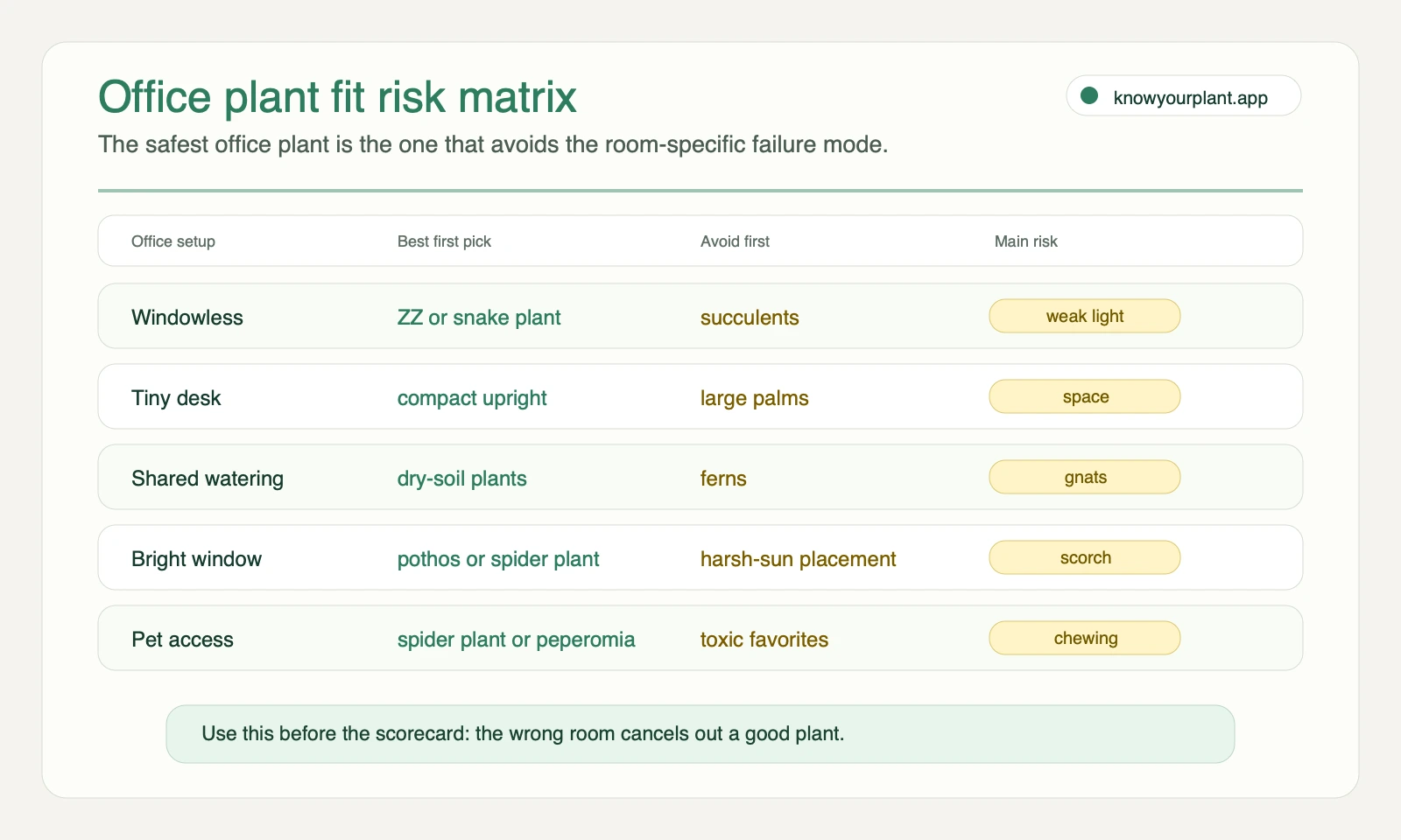 Office plant fit risk matrix showing best first picks avoid first plants and the main office risk