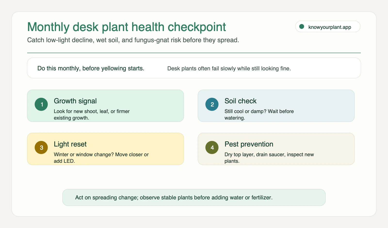 Monthly desk plant health checkpoint showing growth signal soil check light reset and pest prevention