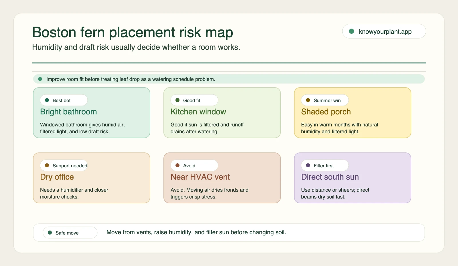 Boston fern placement risk map Boston fern placement risk map comparing bathrooms, kitchens, porches, dry offices, vents, and direct sun
