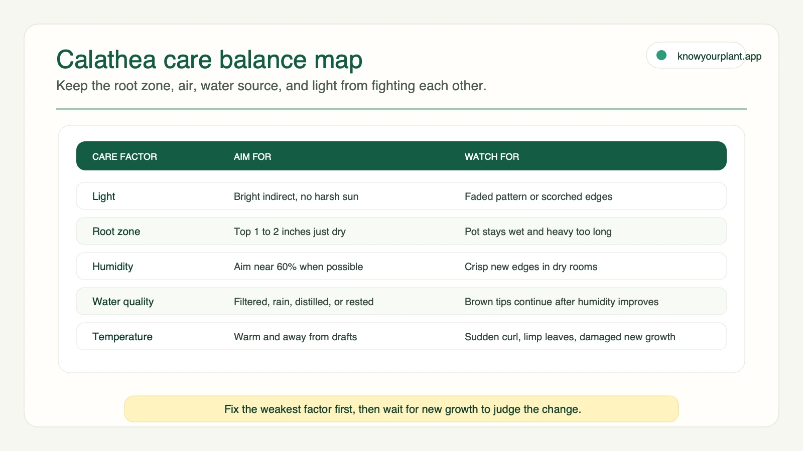 Calathea care balance map Calathea care balance map for light root zone humidity water quality and temperature