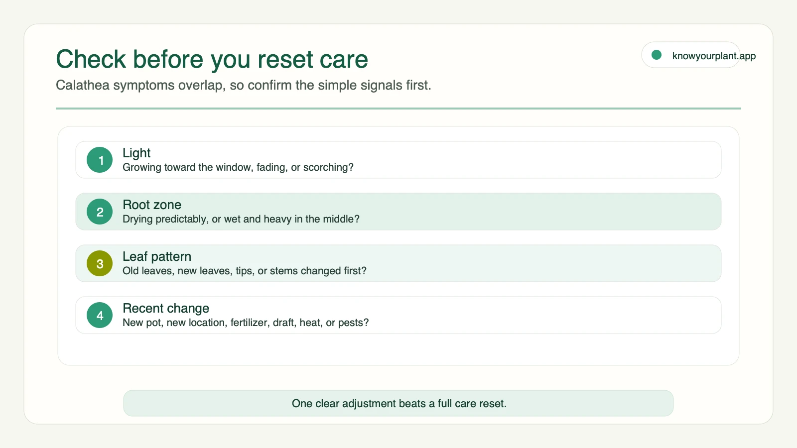 Check before you reset care Calathea care first check order for light root zone leaf pattern and recent changes