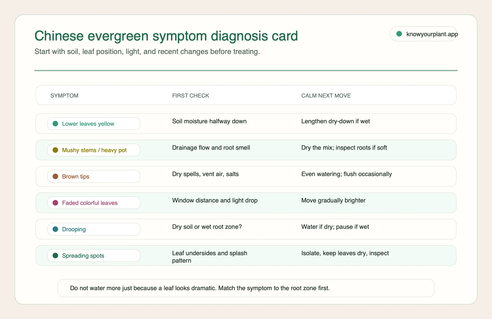 Chinese evergreen symptom diagnosis card matching common symptoms to first checks and calm next moves