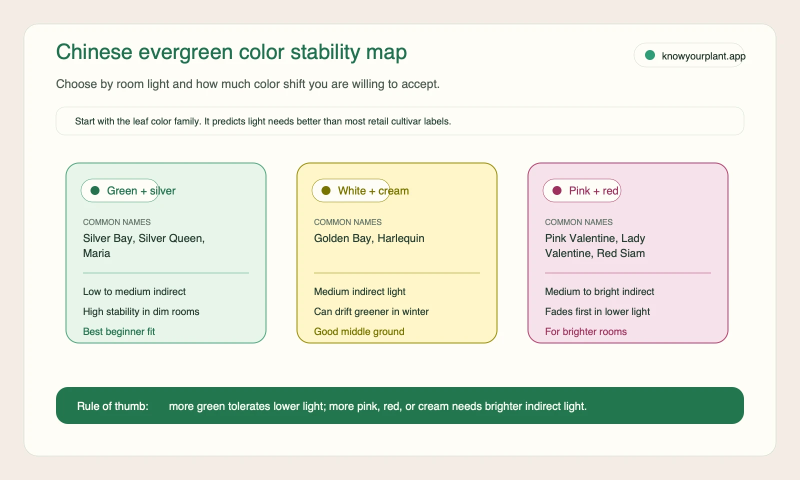 Chinese evergreen color stability map Chinese evergreen color stability map comparing green and silver white and cream and pink and red aglaonema varieties by light and color stability