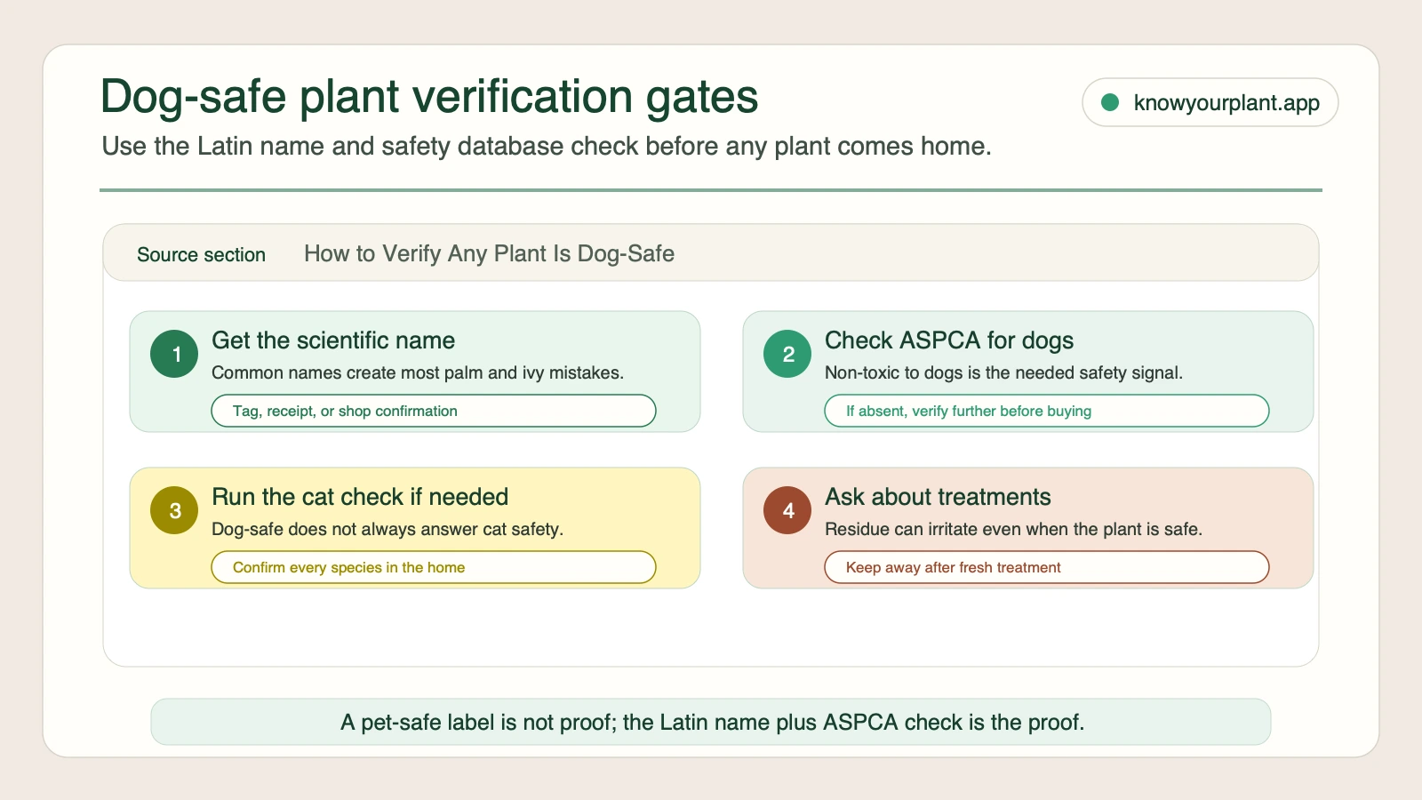 Dog-safe plant verification gates for scientific name, ASPCA dog list, cat check, and plant treatments