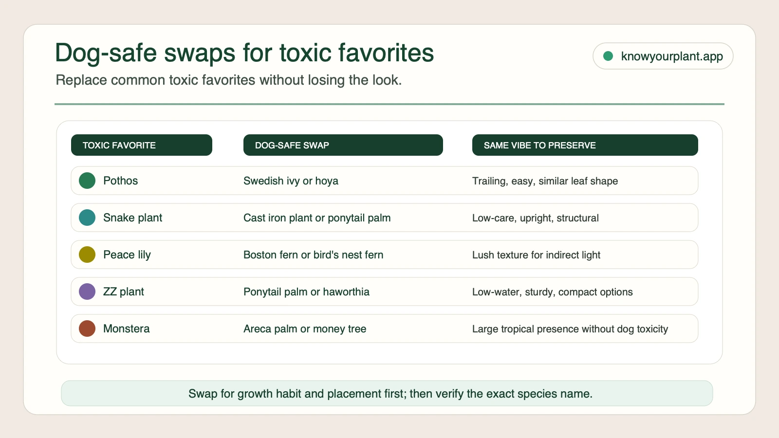 Dog-safe swaps for toxic favorites including pothos, snake plant, peace lily, ZZ plant, and monstera