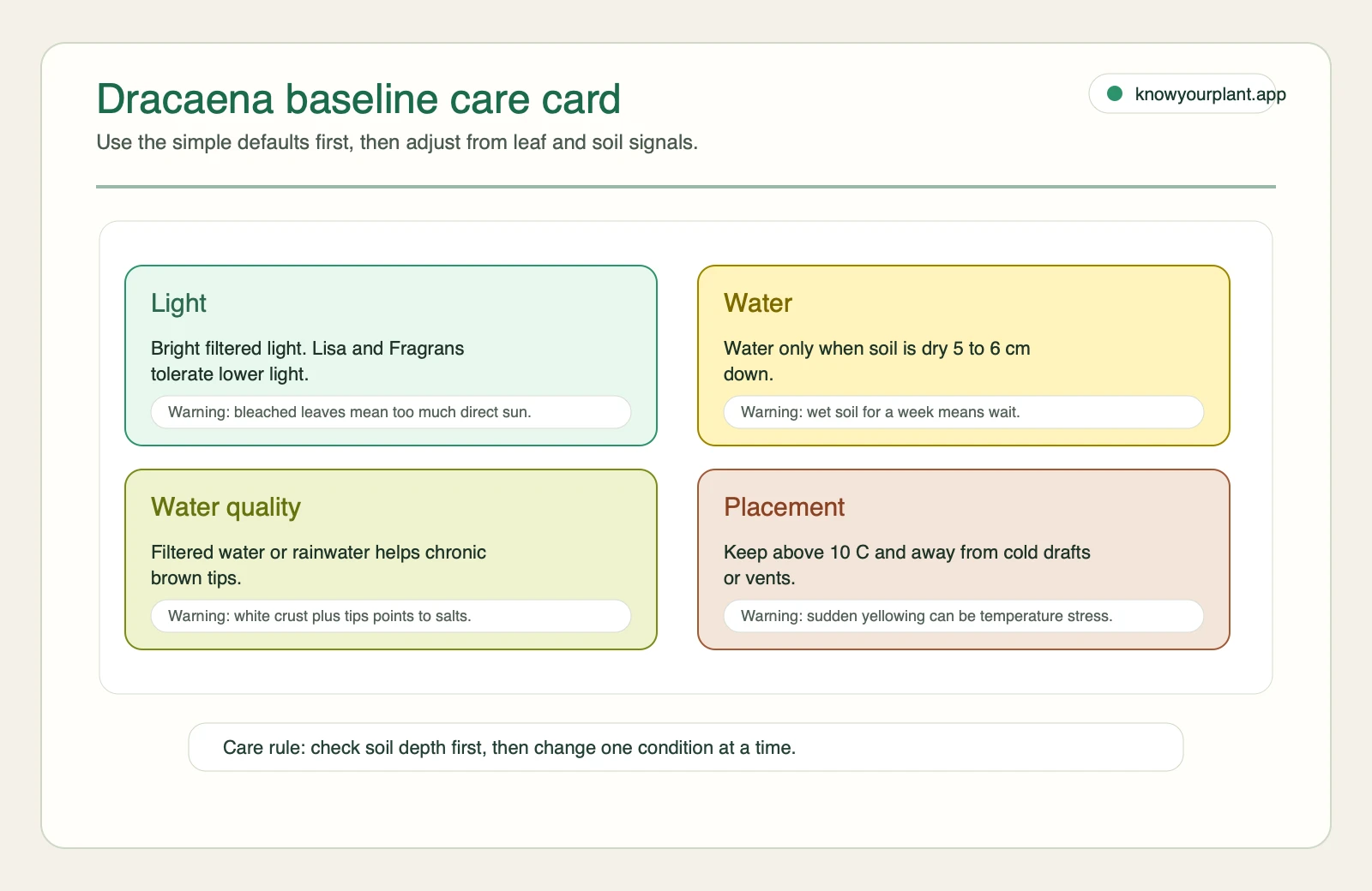 Dracaena baseline care card Dracaena baseline care card for light, water, water quality, and placement checks