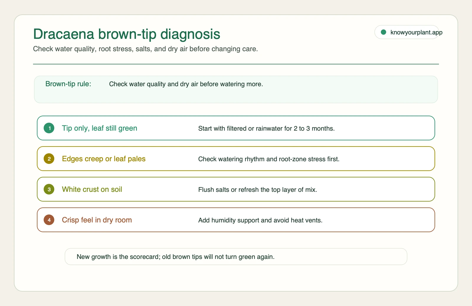 Dracaena brown-tip diagnosis Dracaena brown-tip diagnosis showing water quality, root stress, salts, and dry air checks