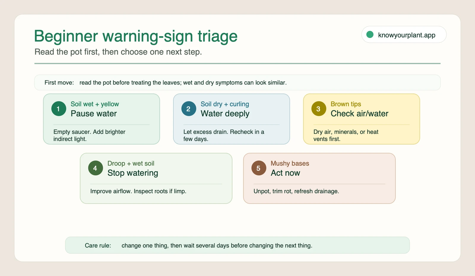 Beginner plant warning sign triage Beginner plant warning sign triage showing soil-first actions for yellow leaves, curling, brown tips, droop, and mushy bases
