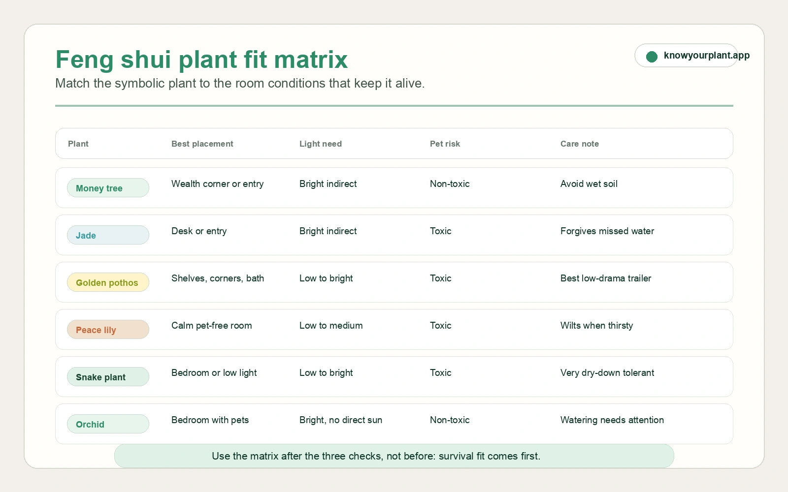 Feng shui plant fit matrix matching money tree jade pothos peace lily snake plant and orchid to room light pet risk and care notes