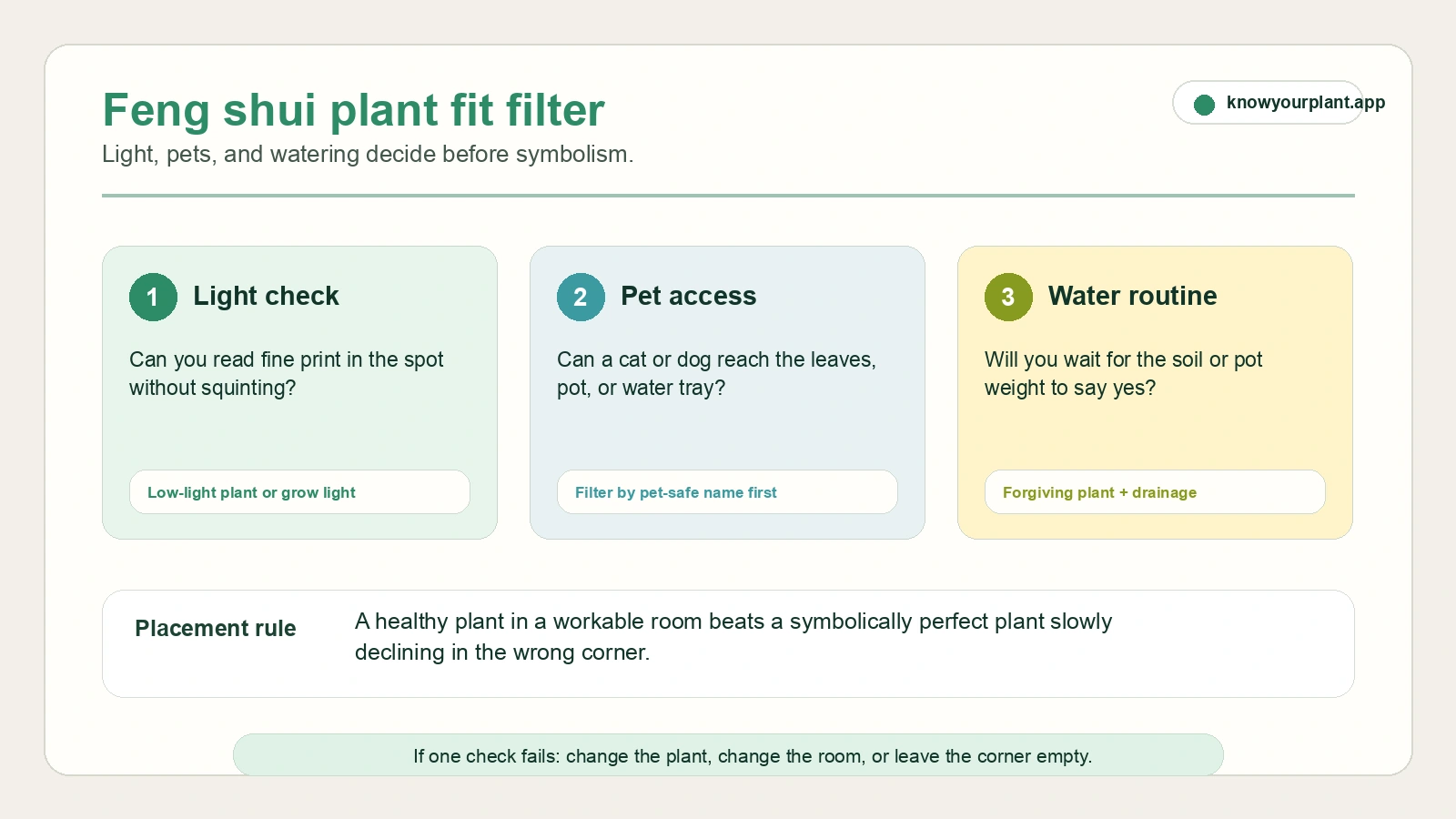 Feng shui plant fit filter checking light pet access and watering routine before plant placement