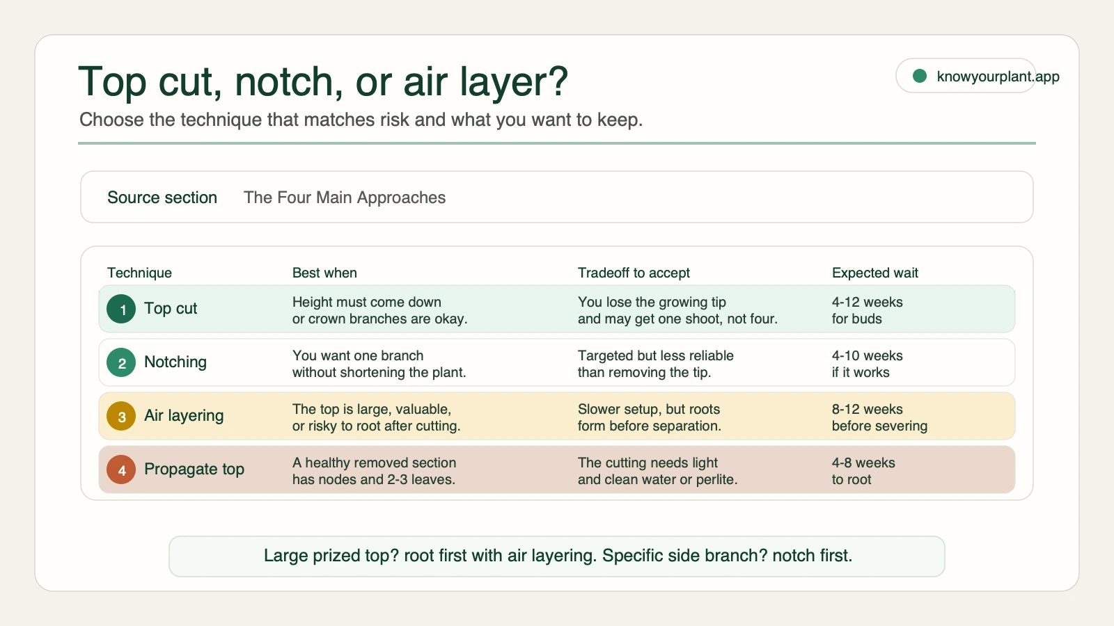 Fiddle leaf fig pruning technique map comparing top cuts notching air layering and propagating the removed top by best use tradeoff and expected wait