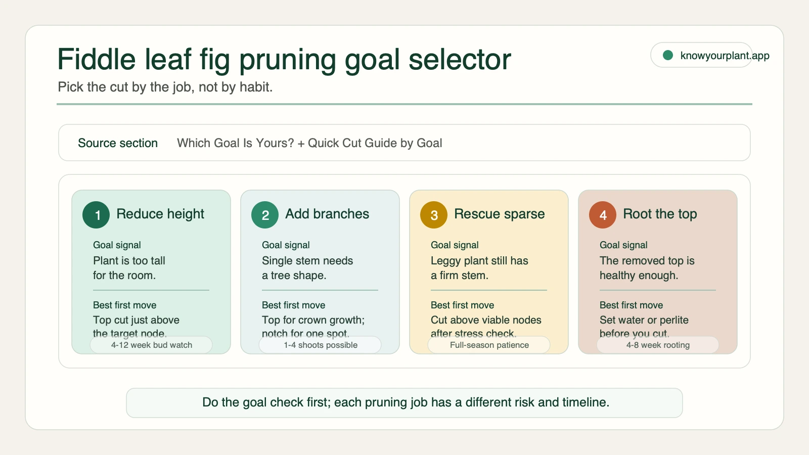 Fiddle leaf fig pruning goal selector matching height reduction branching rescue pruning and propagation goals to first moves and realistic wait times