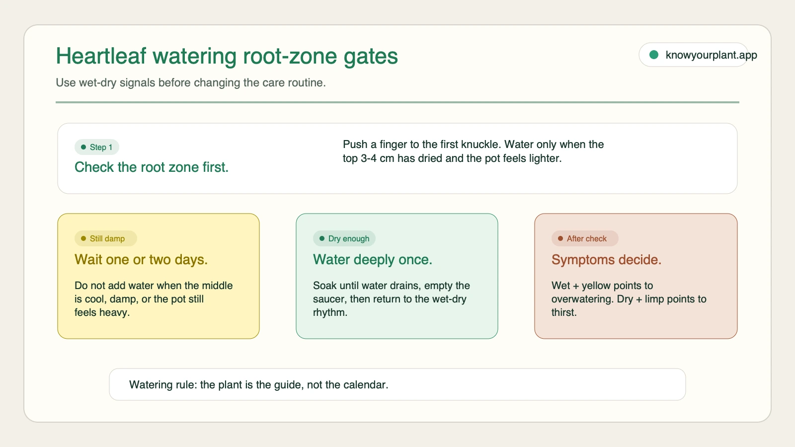 Heartleaf watering root-zone gates Heartleaf philodendron root zone watering gates for damp dry and symptom checks