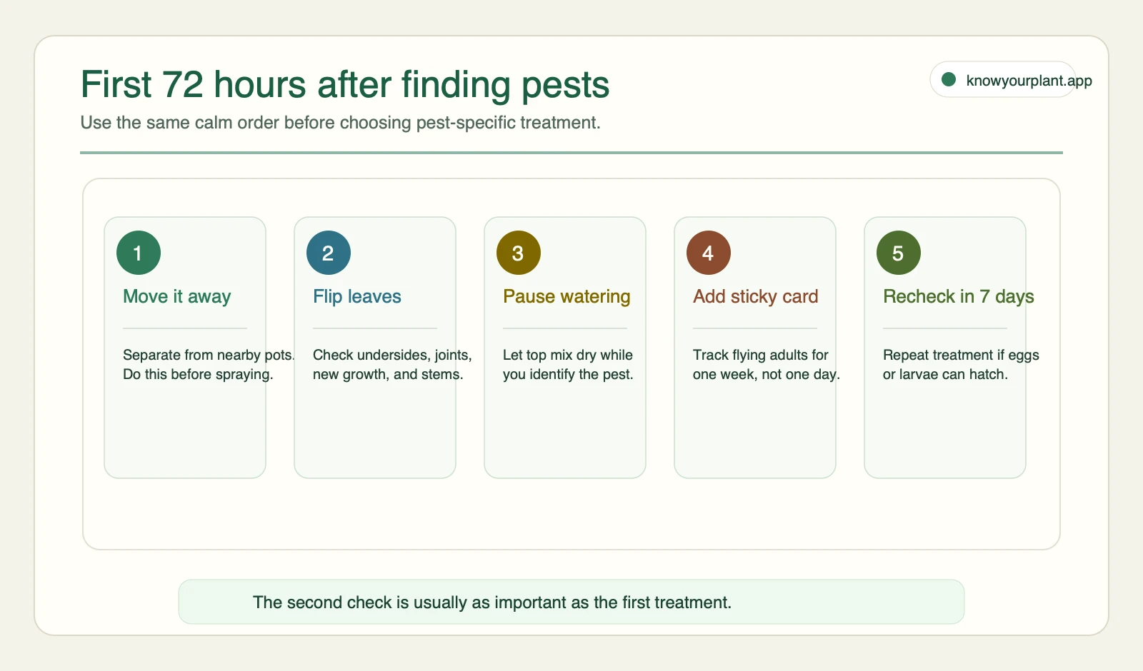 First 72 hours after finding houseplant pests First 72 hours after finding houseplant pests action order: isolate, inspect, pause watering, add sticky card, and recheck