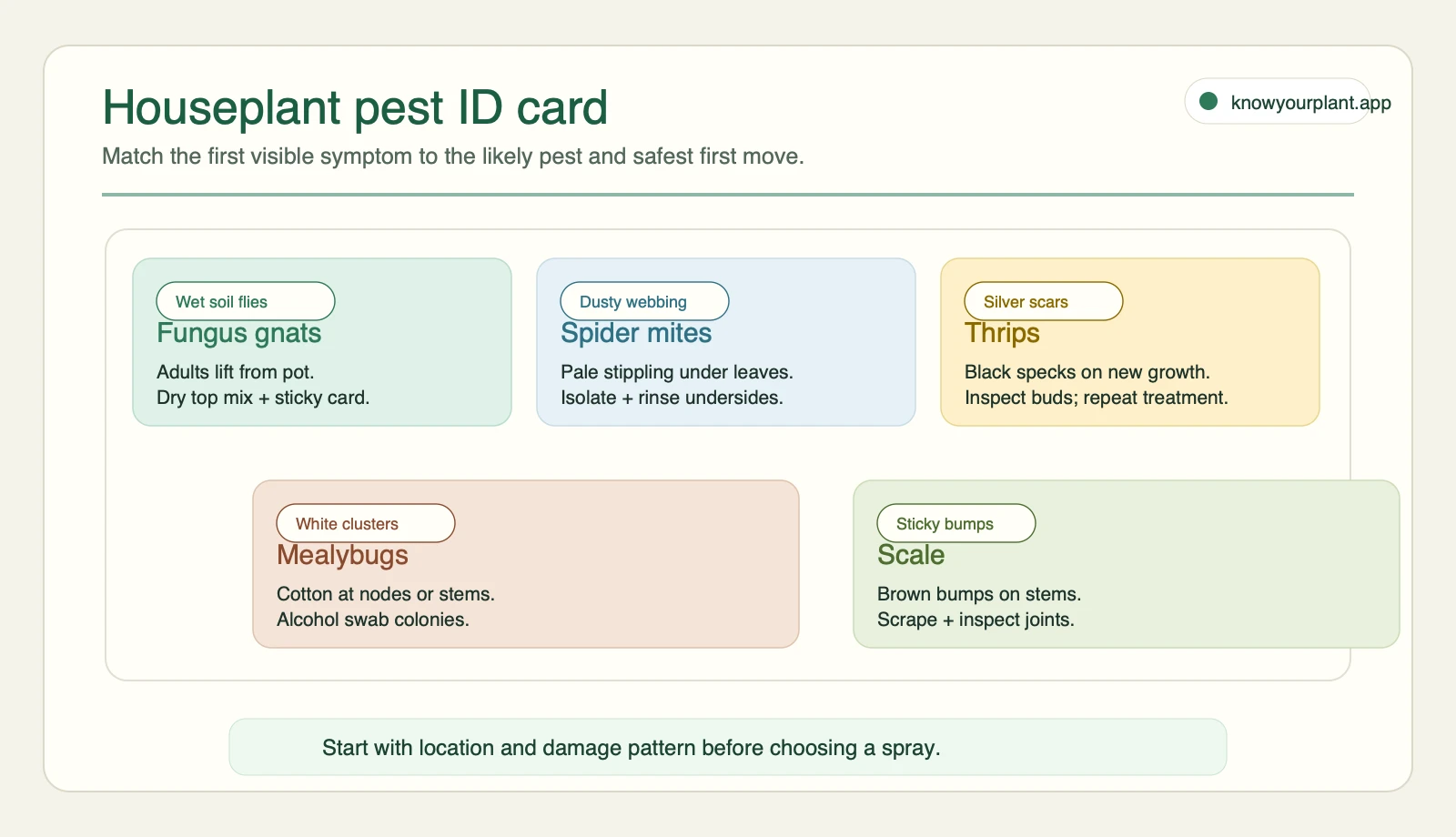 Houseplant pest ID card Houseplant pest ID card matching first visible symptoms to likely pests and safest first moves