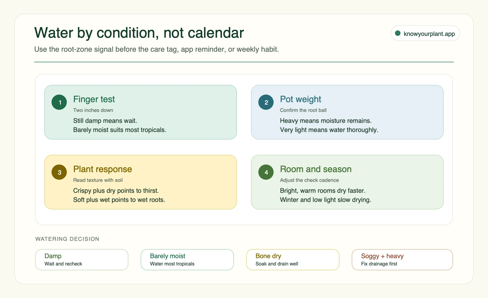 Water by condition, not calendar Indoor plant watering decision diagram showing finger test pot weight plant response and room season checks
