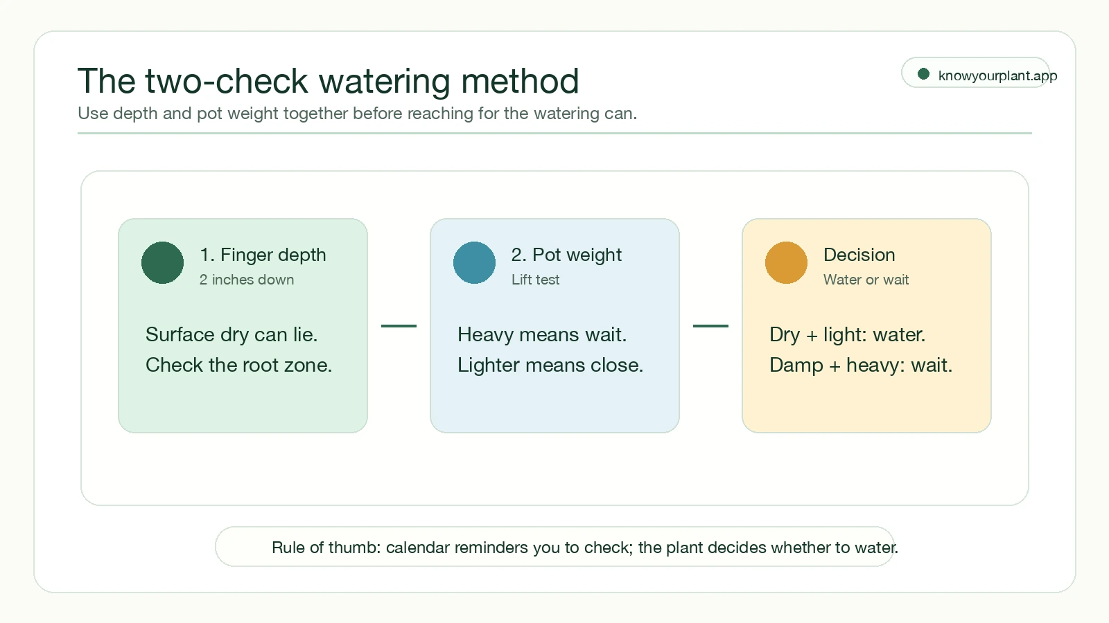 Two-check pothos watering method showing finger depth, pot weight, and the water-or-wait decision