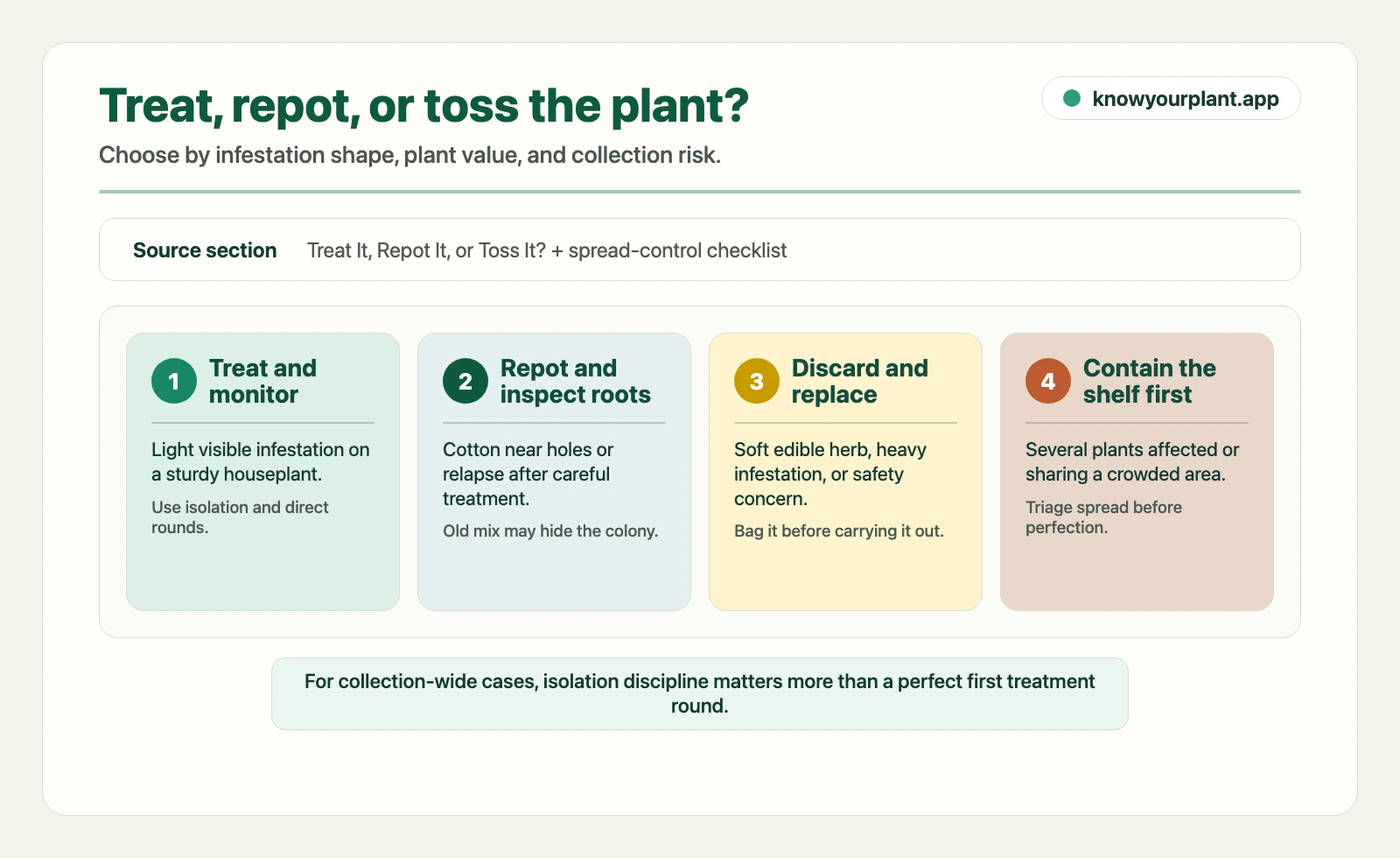 Mealybug decision gates showing when to treat and monitor, repot and inspect roots, discard the plant, or contain the whole shelf first