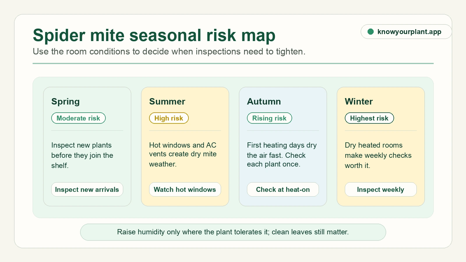 Spider mite seasonal risk map Spider mite seasonal risk map for spring, summer, autumn, and winter plant checks
