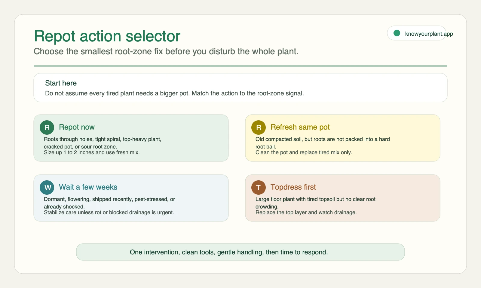 Repot action selector showing when to repot now, refresh the same pot, wait, or topdress first