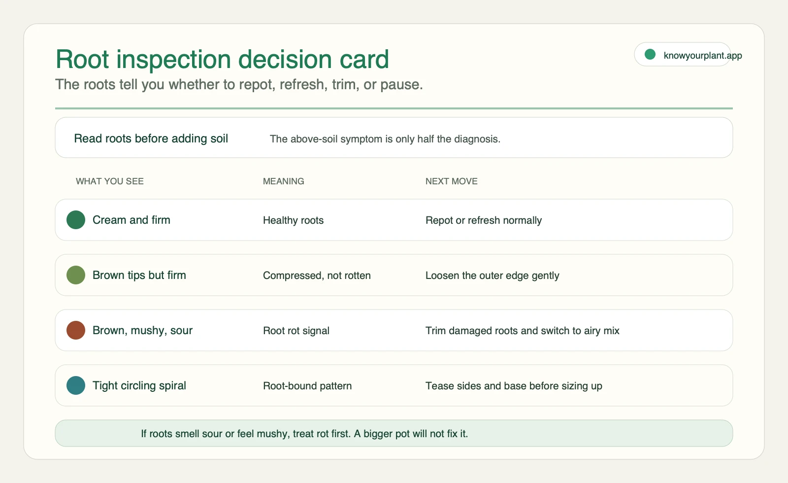 Root inspection decision card showing healthy roots, compressed roots, root rot signals, and root-bound spirals