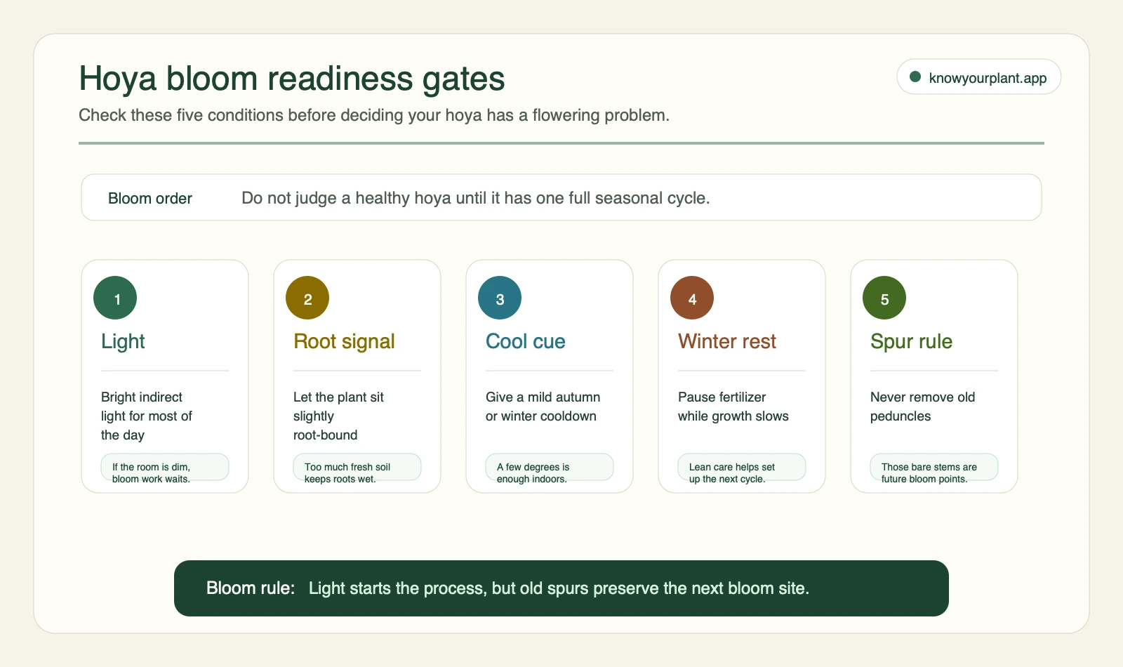 Hoya bloom readiness gates Hoya bloom readiness gates covering light, root-bound timing, cool seasonal cue, winter rest, and the spur rule