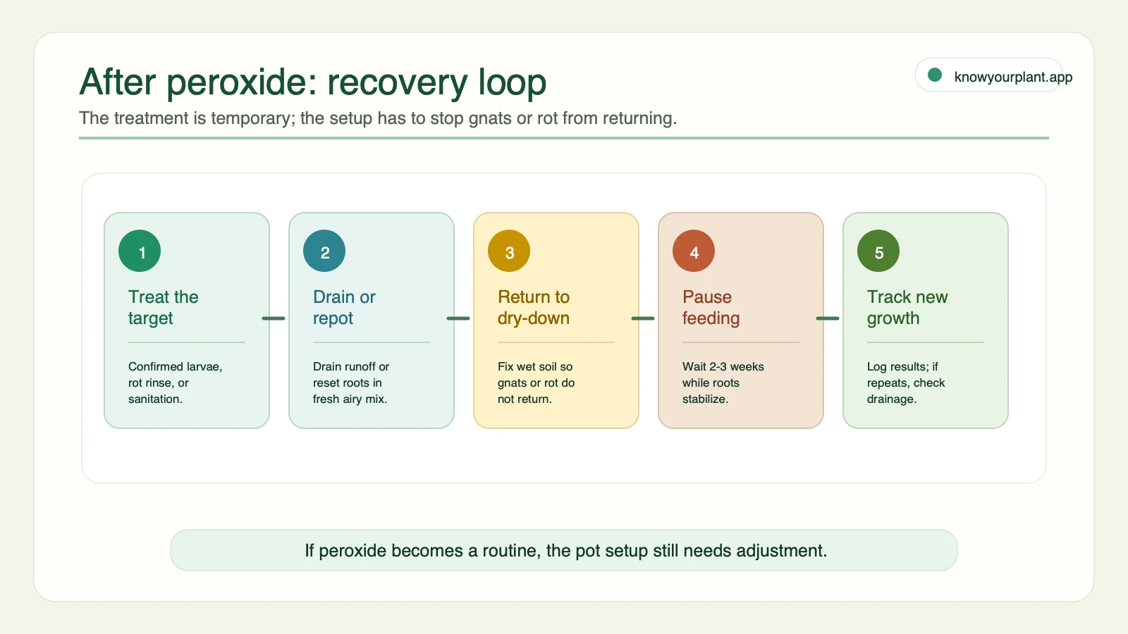 Hydrogen peroxide aftercare recovery loop showing treatment, drainage, dry-down, fertilizer pause, and new growth tracking