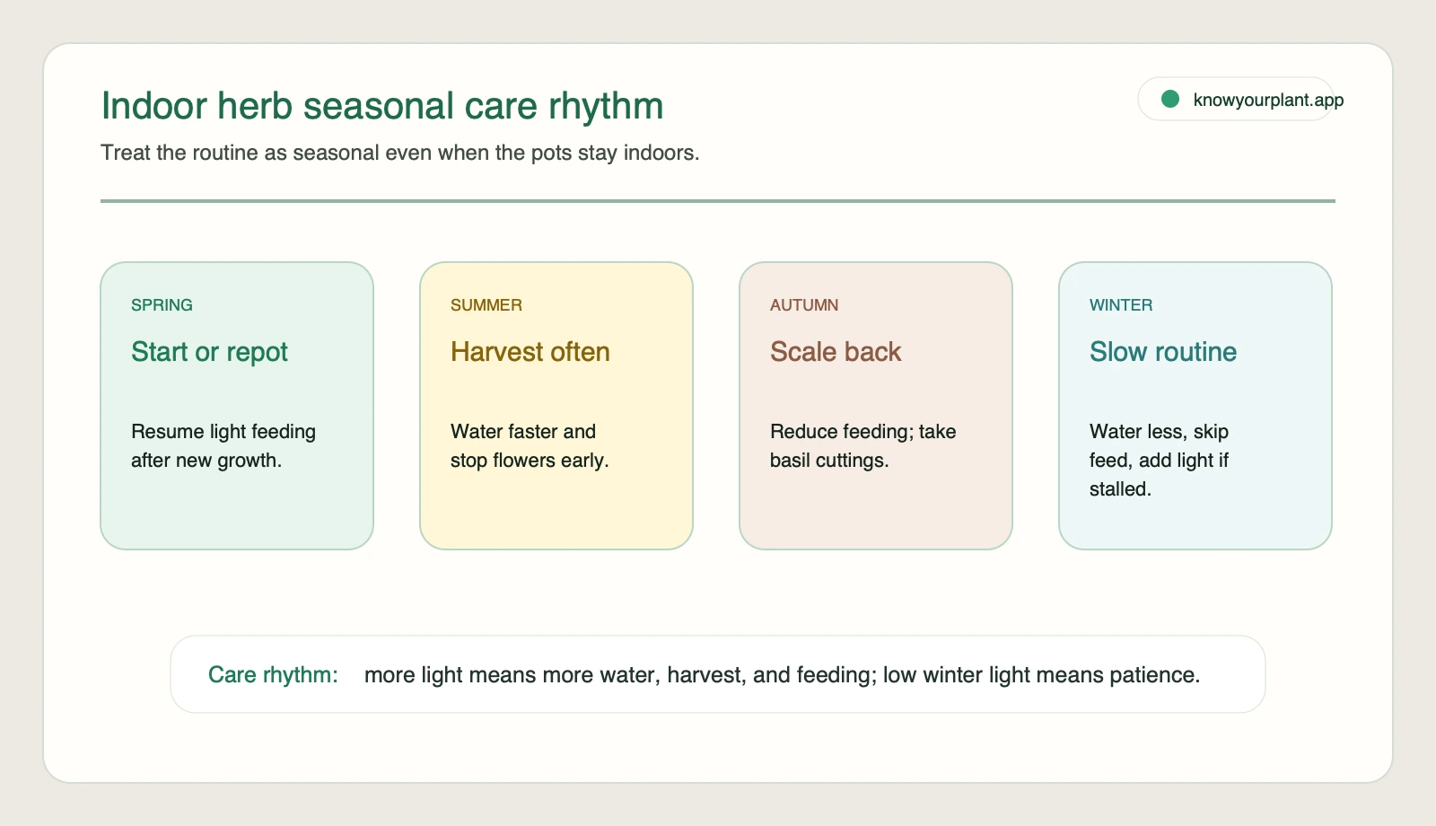 Indoor herb seasonal care rhythm for spring summer autumn and winter watering harvesting feeding and grow light adjustments