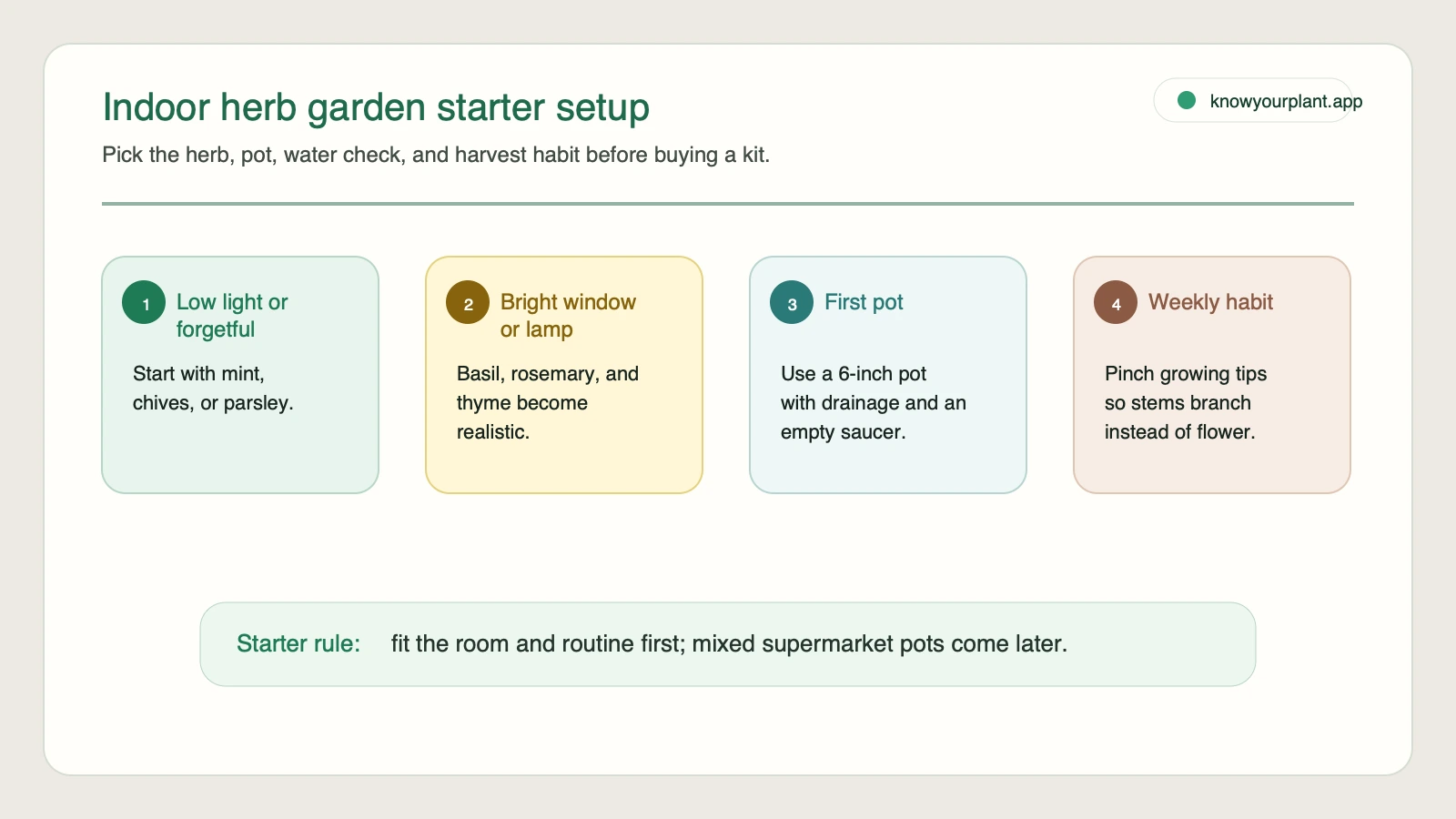 Indoor herb garden starter setup card matching herbs pots watering and harvesting to light and routine