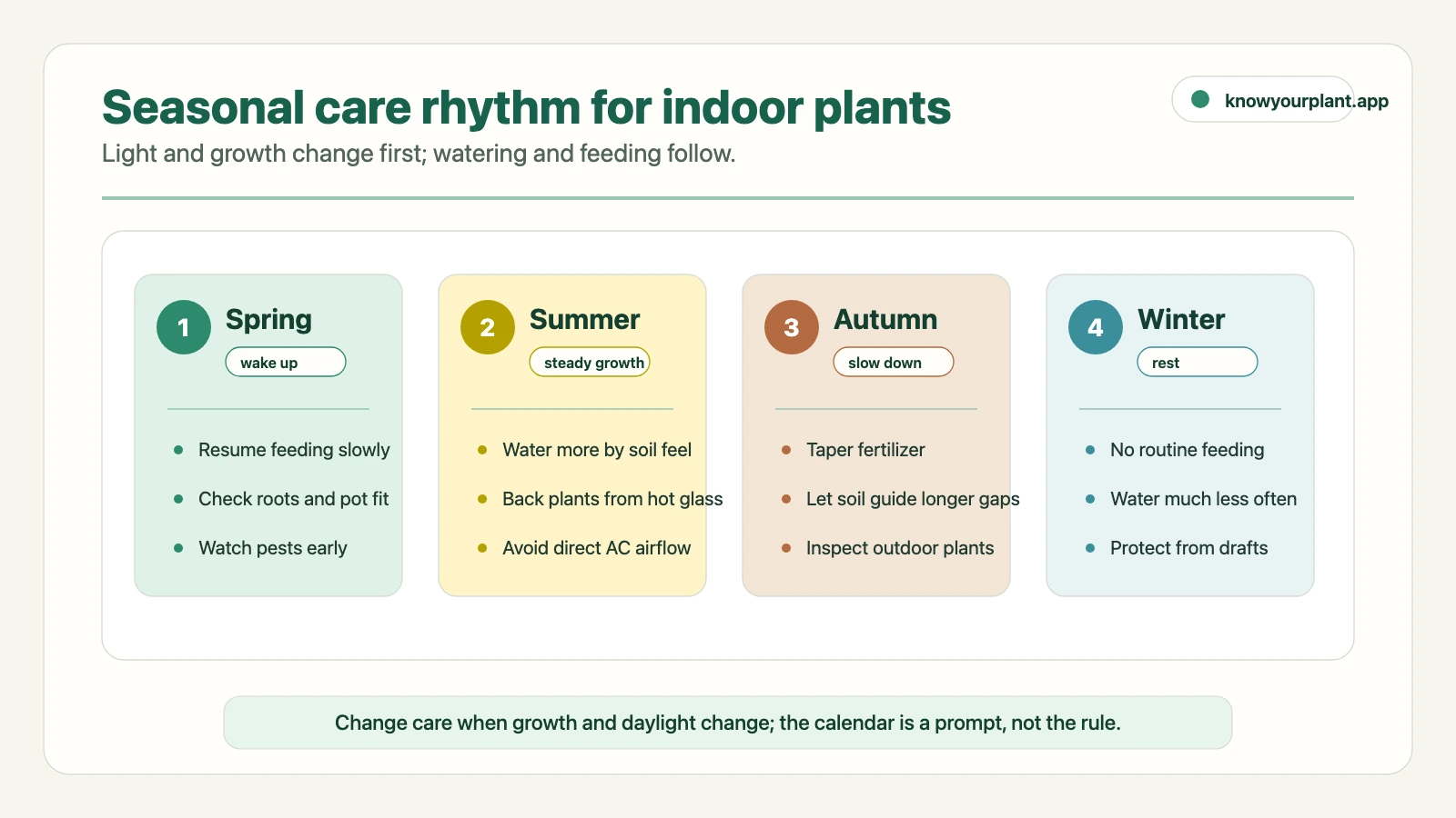Seasonal care rhythm for indoor plants Seasonal indoor plant care rhythm showing spring wake-up, summer steady growth, autumn slow-down, and winter rest actions