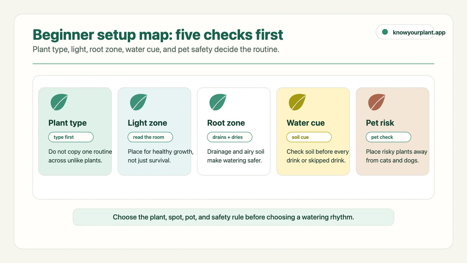Beginner setup map: five checks first Beginner setup map showing plant type, light zone, root zone, water cue, and pet risk as the five first checks