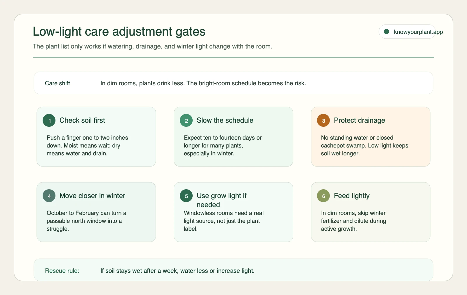 Low-light care adjustment gates Low-light care adjustment gates covering soil checks, slower watering, drainage, winter light, grow lights, and lighter feeding