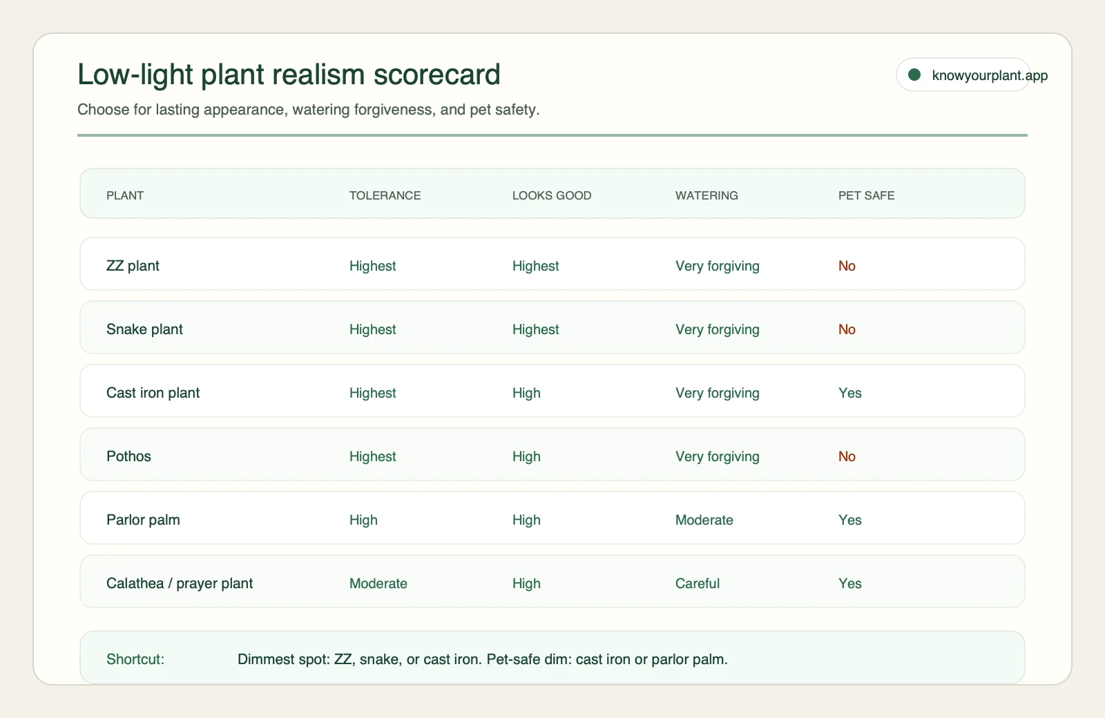 Low-light plant realism scorecard Low-light plant realism scorecard comparing tolerance, lasting appearance, watering forgiveness, and pet safety