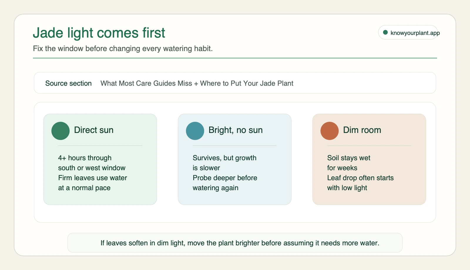 Jade plant light threshold map comparing direct sun, bright rooms without sun, and dim rooms with watering risk
