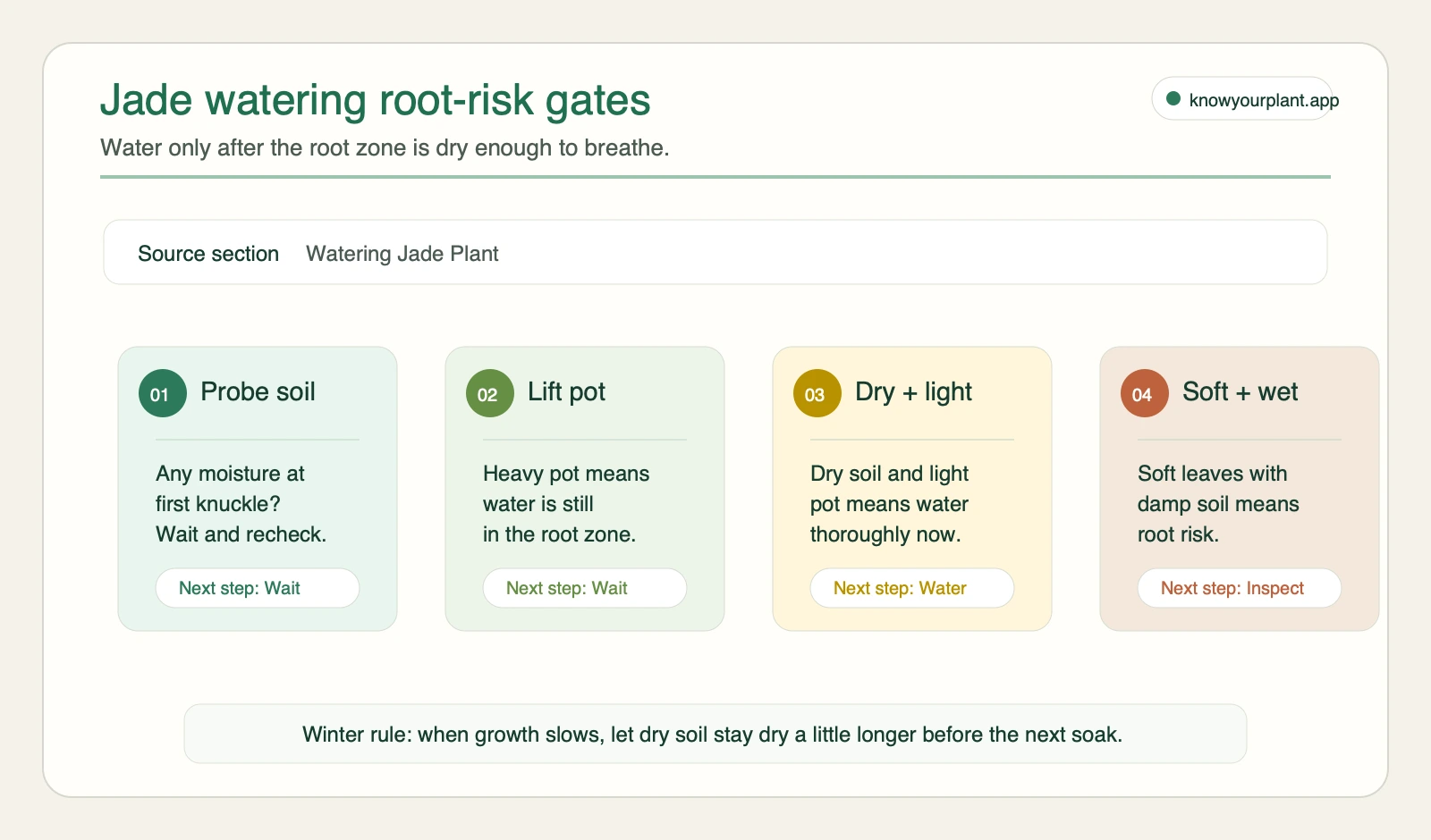 Jade plant watering root risk gates showing soil probe, pot weight, dry and light pot, and soft wet leaf checks