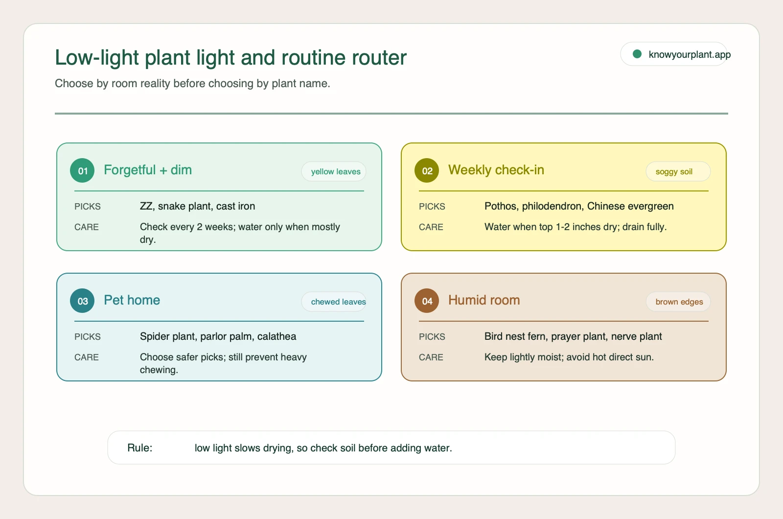 Low-light plant light and routine router Low-light indoor plant router matching room light, watering habit, pets, and humidity to practical plant picks