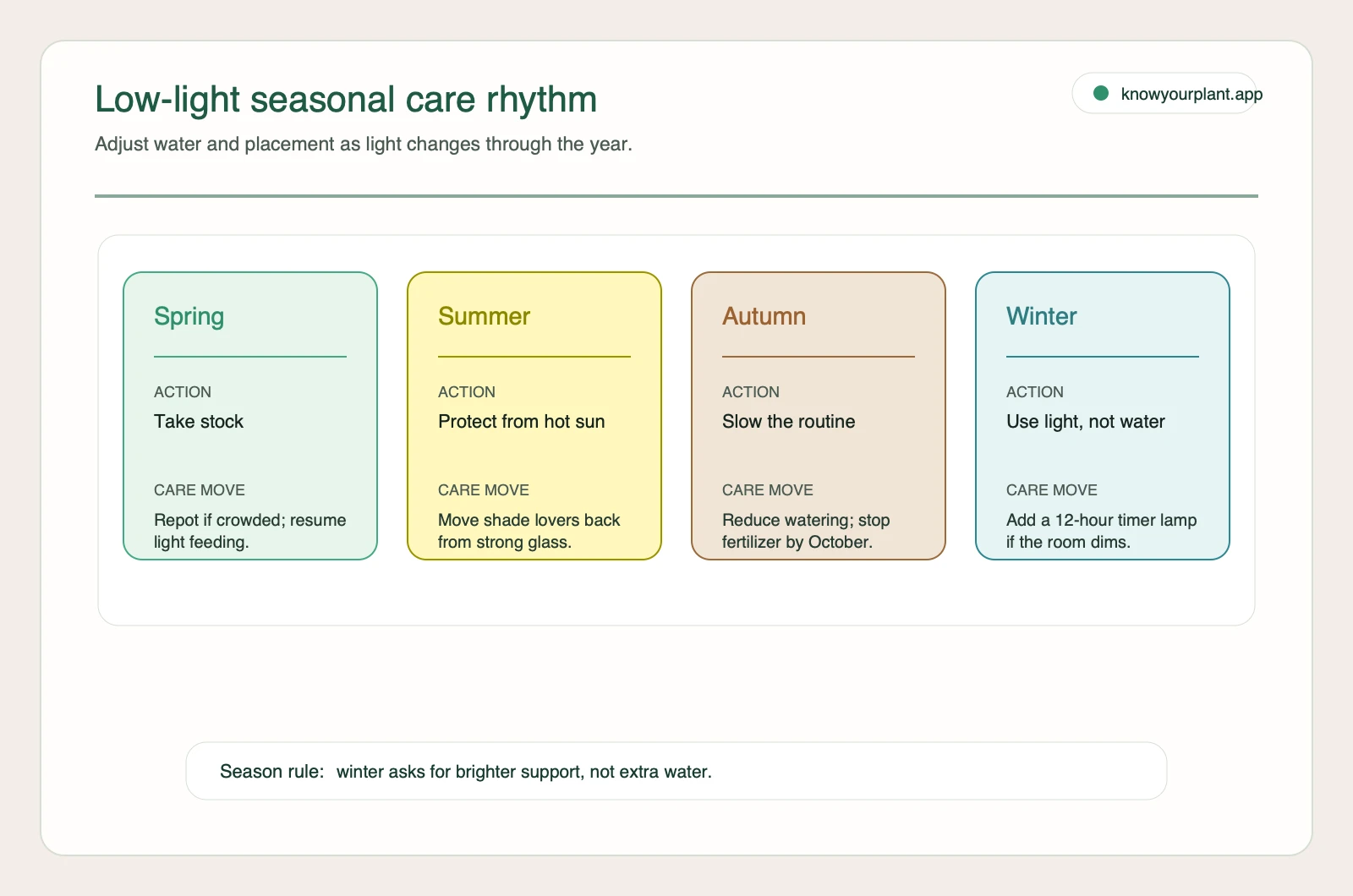 Low-light indoor plant seasonal care rhythm Seasonal care rhythm for low-light indoor plants showing spring, summer, autumn, and winter adjustments