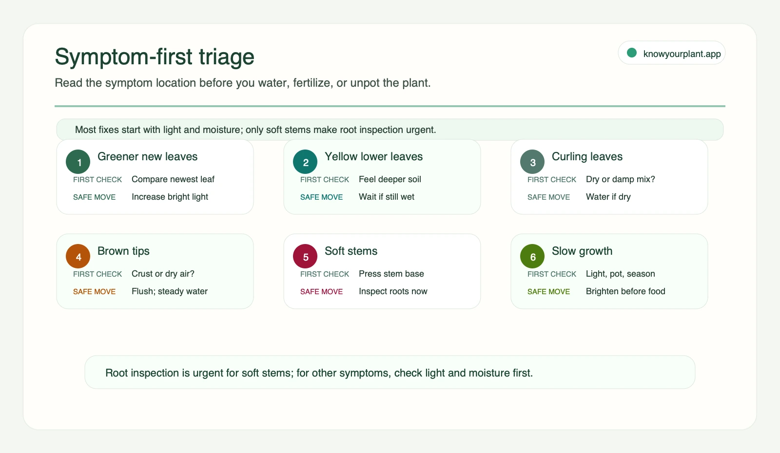 Symptom-first triage Marble Queen Pothos symptom triage for greener leaves yellow leaves curling brown tips soft stems and slow growth