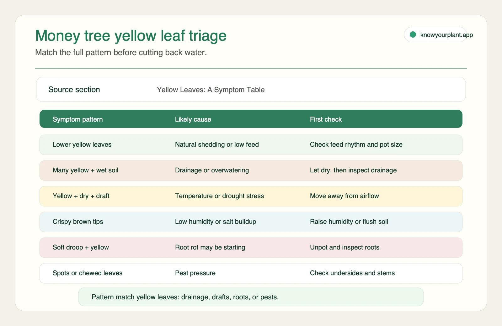 Money tree yellow leaf triage Money tree yellow leaf triage table matching symptom patterns to likely causes and first checks