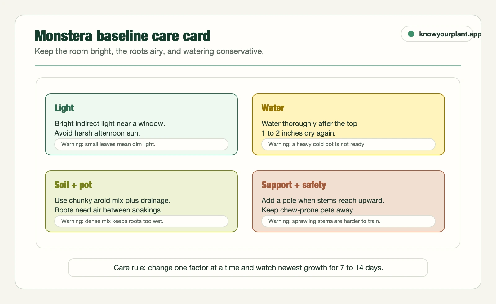 Monstera baseline care card summarizing light, watering, soil, support, and pet safety defaults