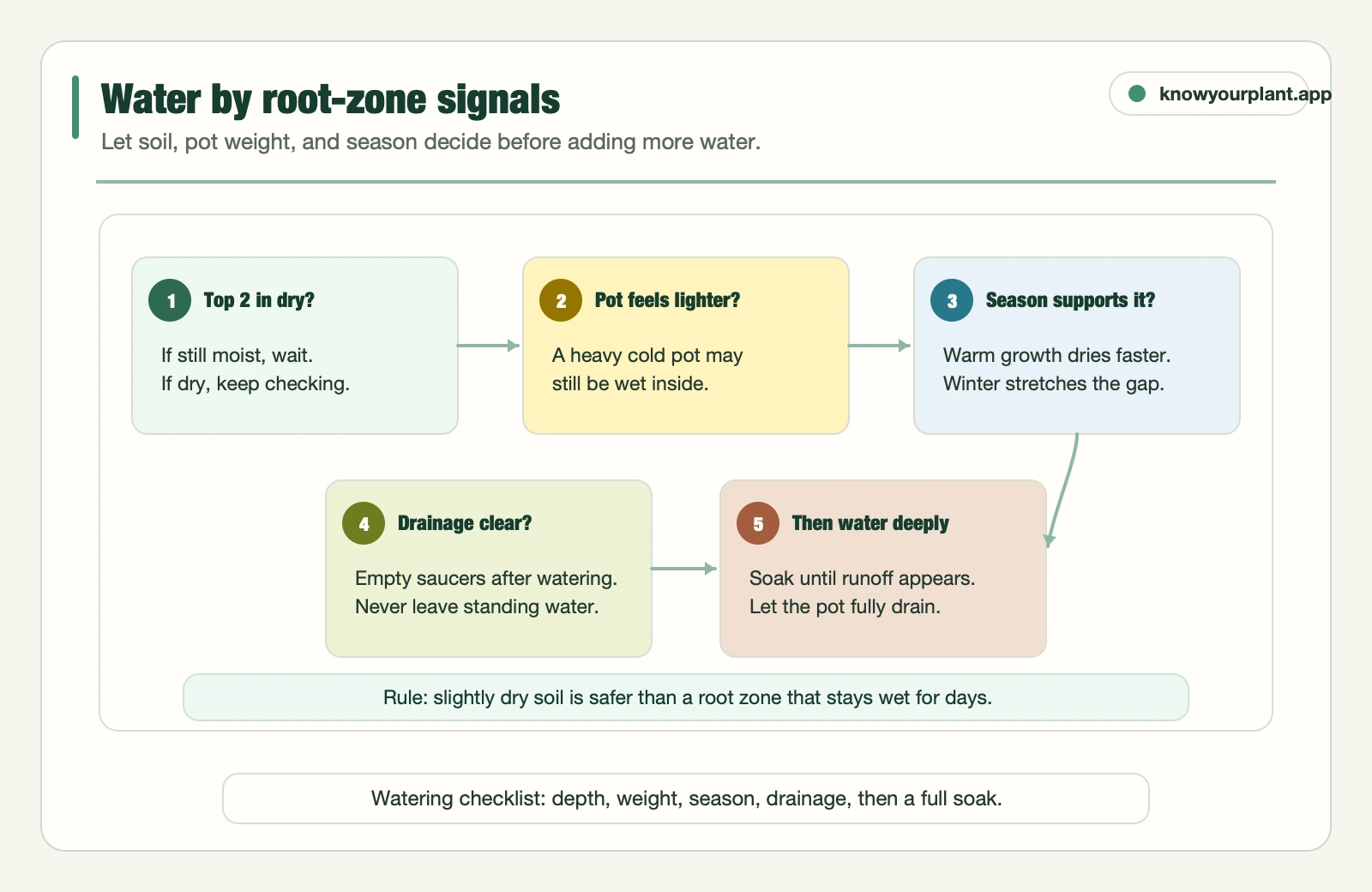 Monstera root-zone watering gates showing soil depth, pot weight, season, drainage, and deep watering checks
