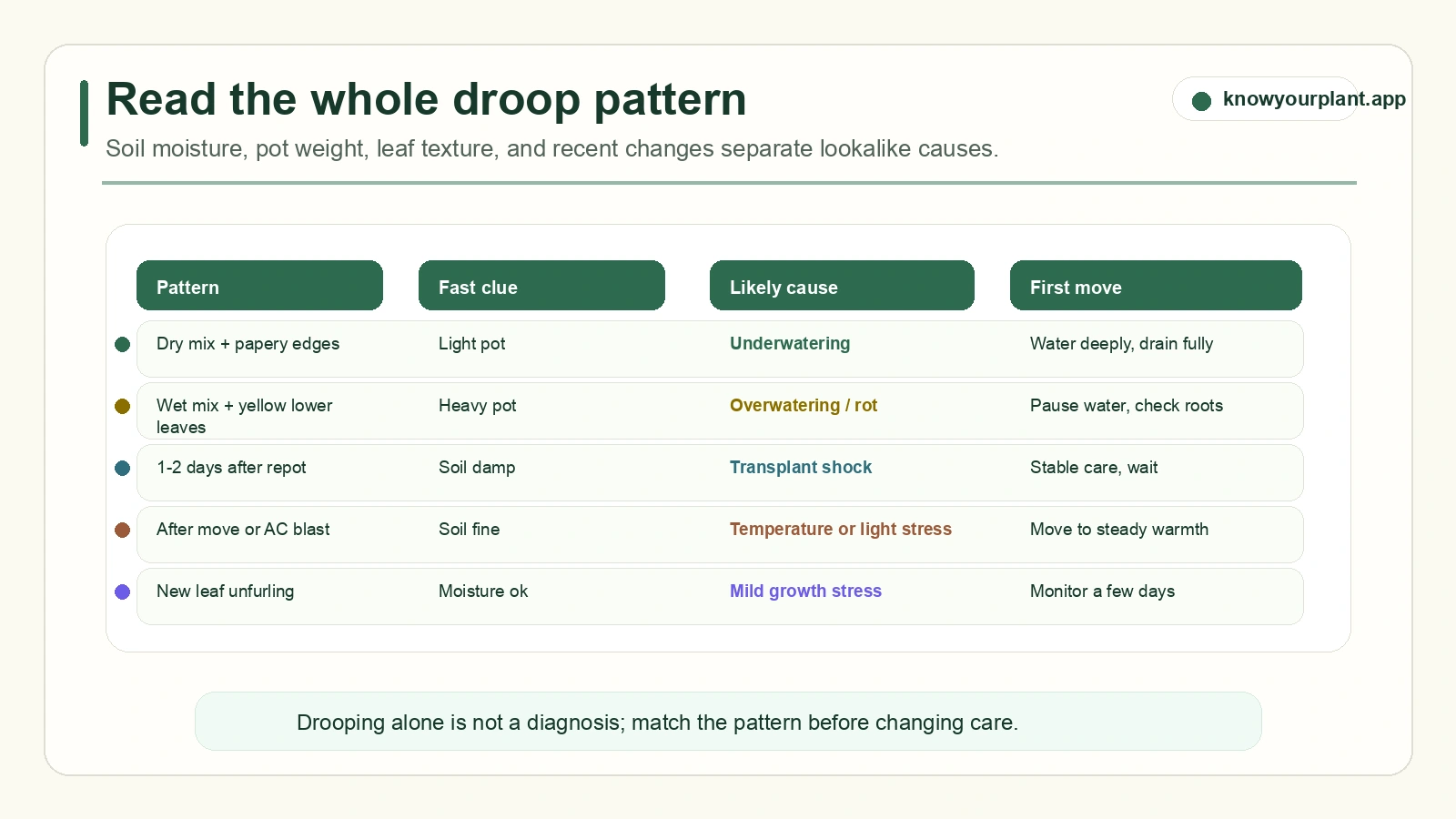 Monstera drooping cause pattern map comparing soil moisture pot weight leaf texture recent changes and first moves