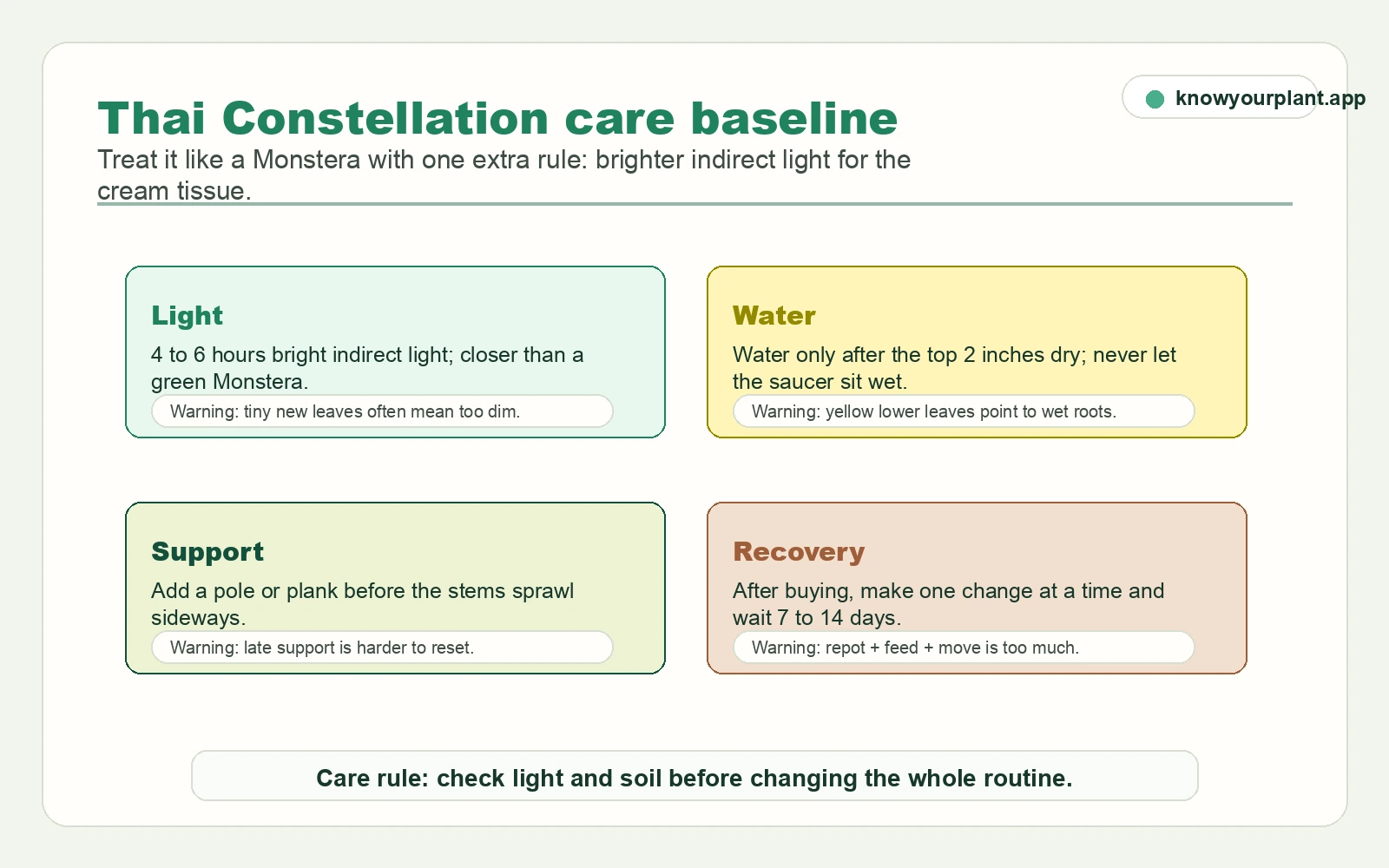 Thai Constellation care baseline card covering light water support and recovery warnings